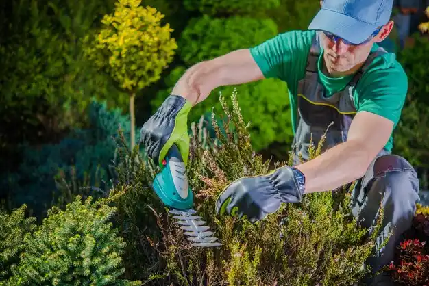 landscaping services New Philadelphia